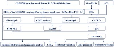 Identification of hub biomarkers of myocardial infarction by single-cell sequencing, bioinformatics, and machine learning